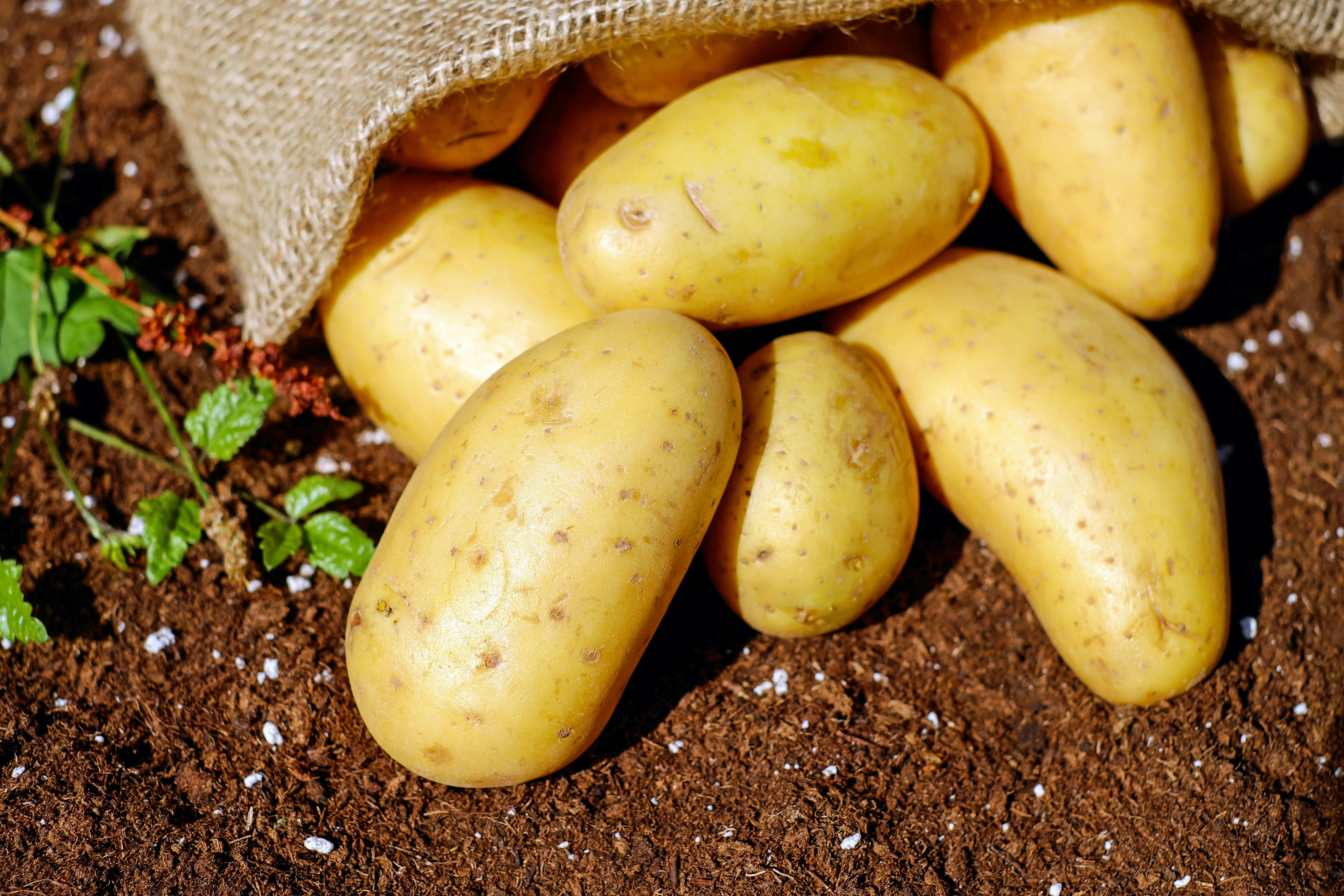 Healthy Potatoes